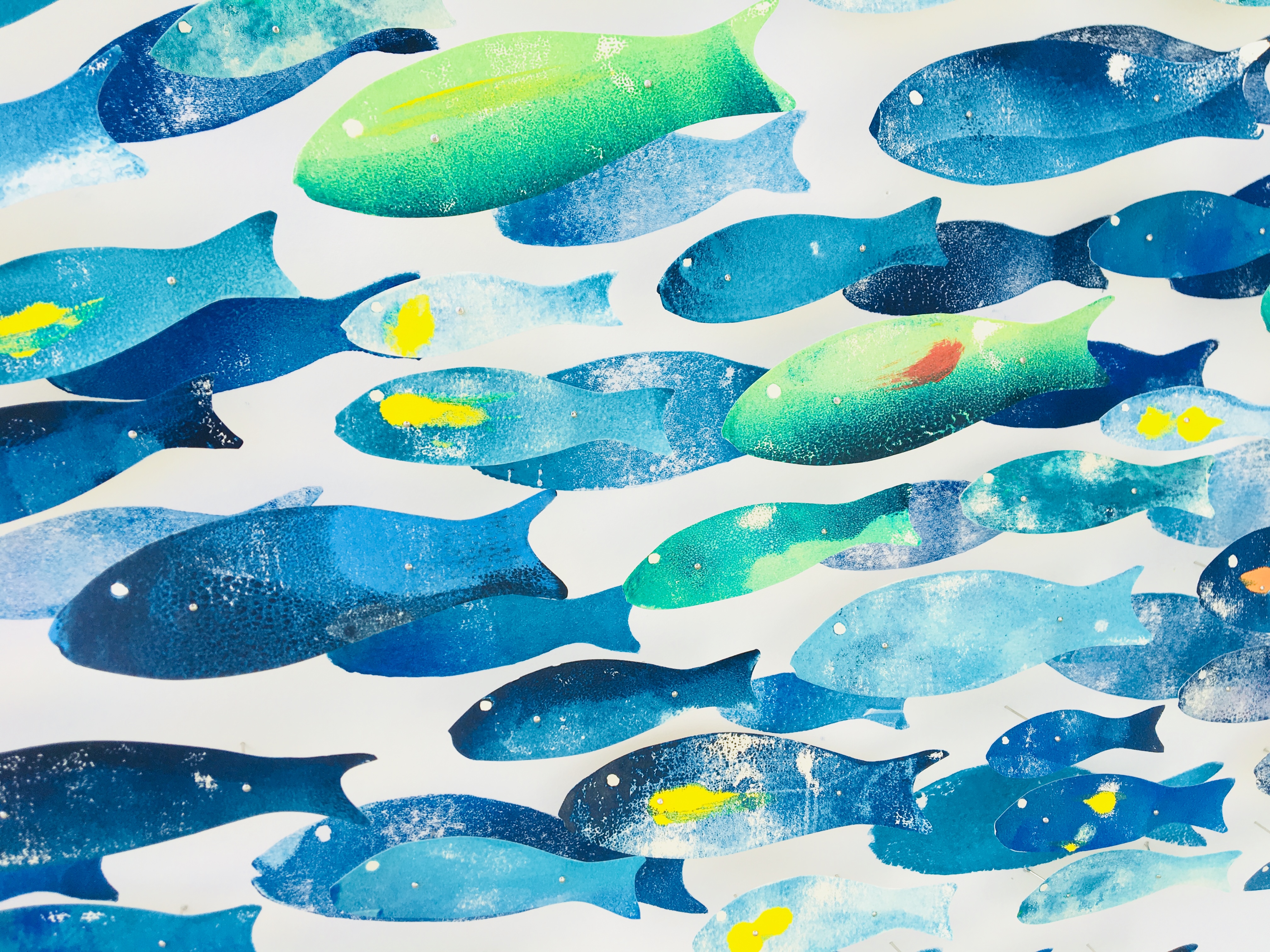 31620997638_e31f0f0dd1_o