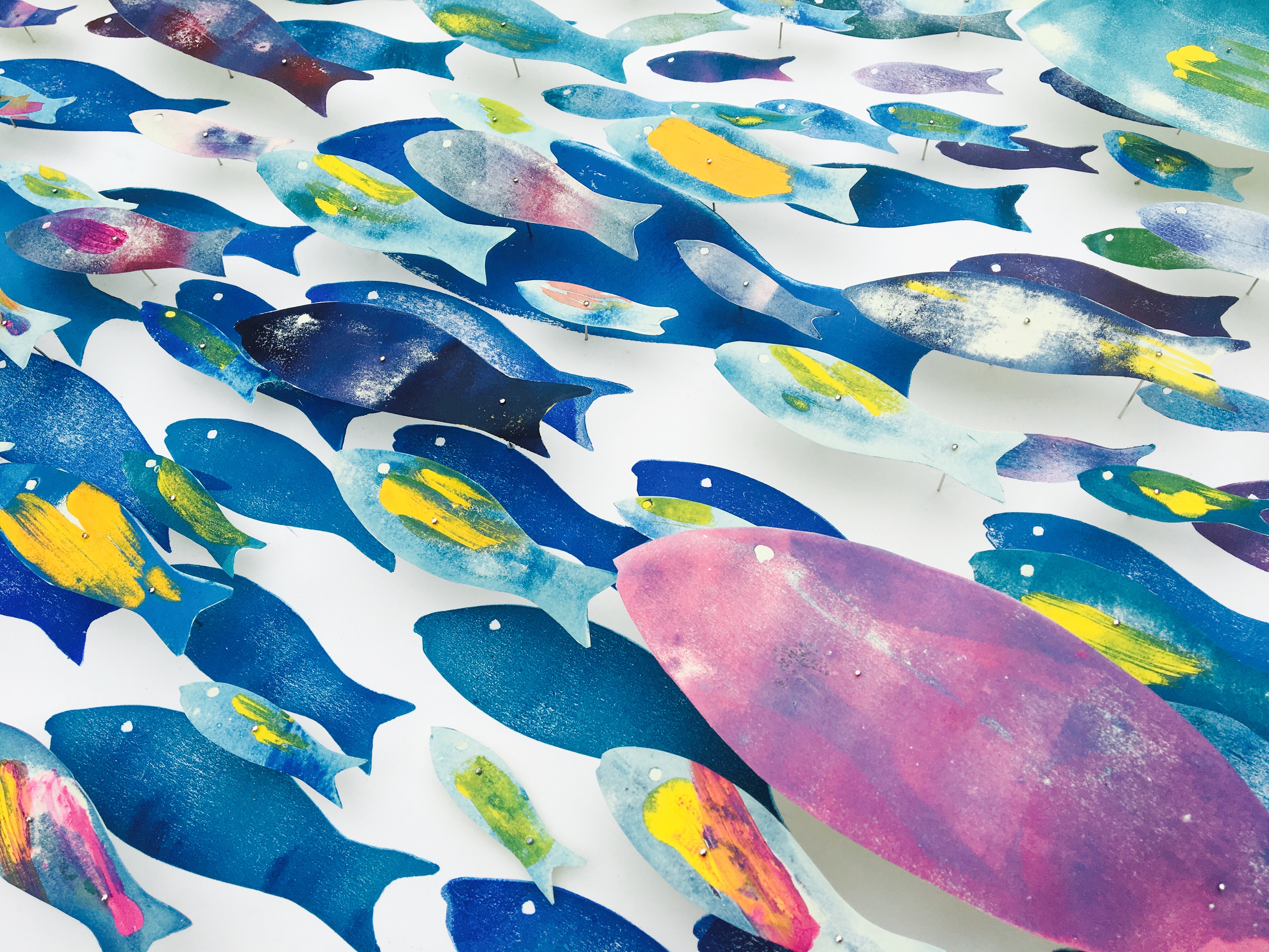 36998680691_cf31f927b0_o