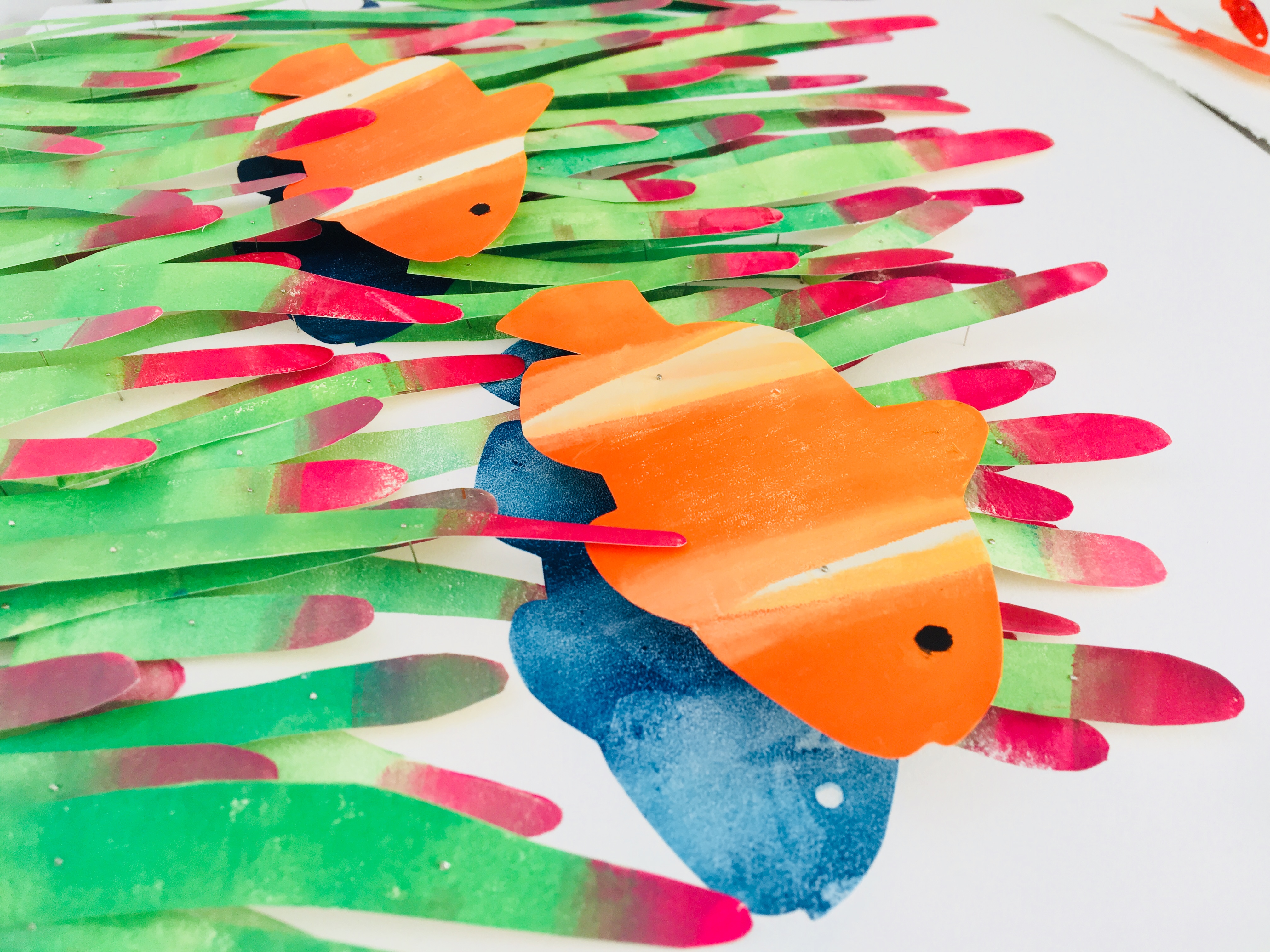 43333884642_d14f74ecae_o