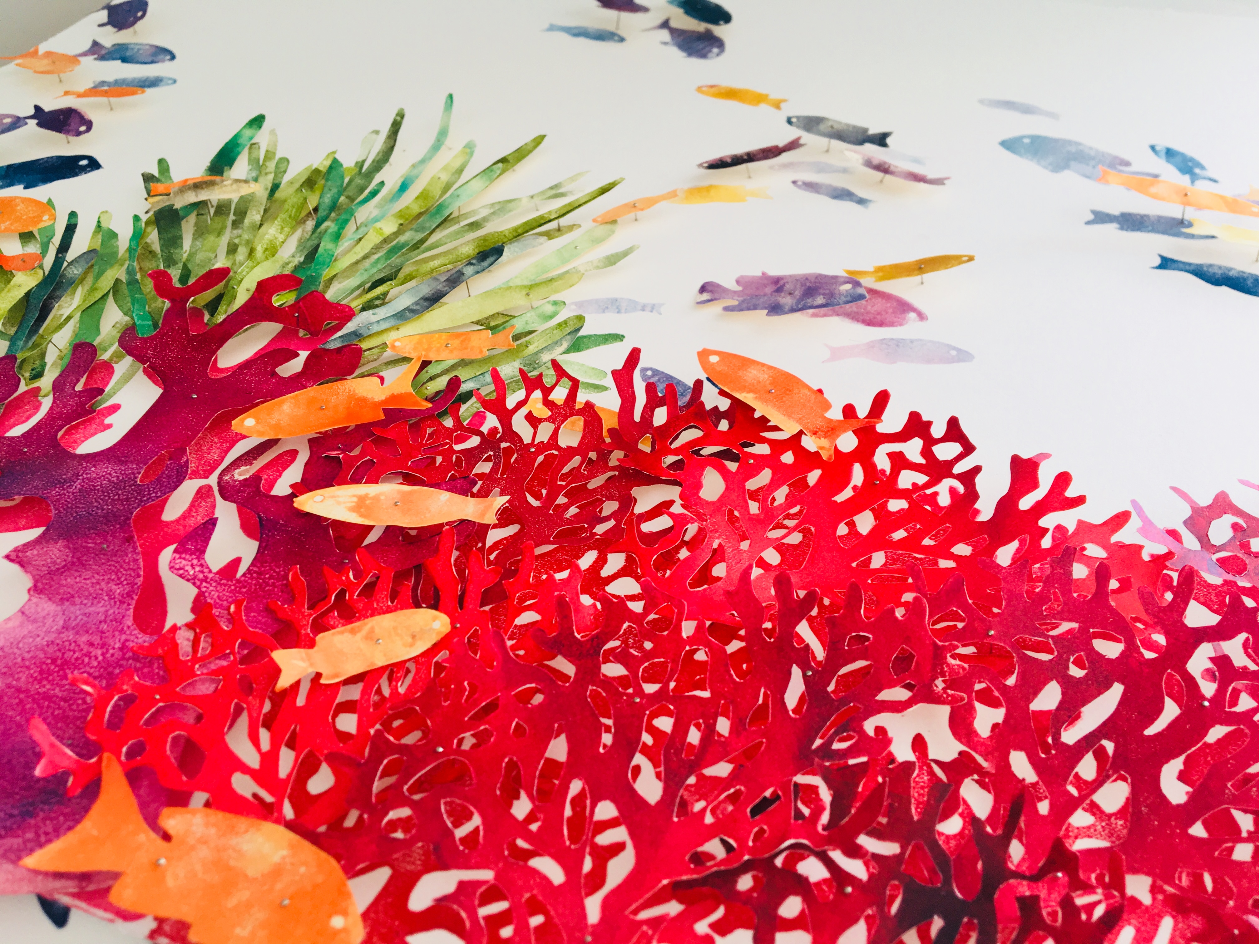 43333884722_6a69156756_o