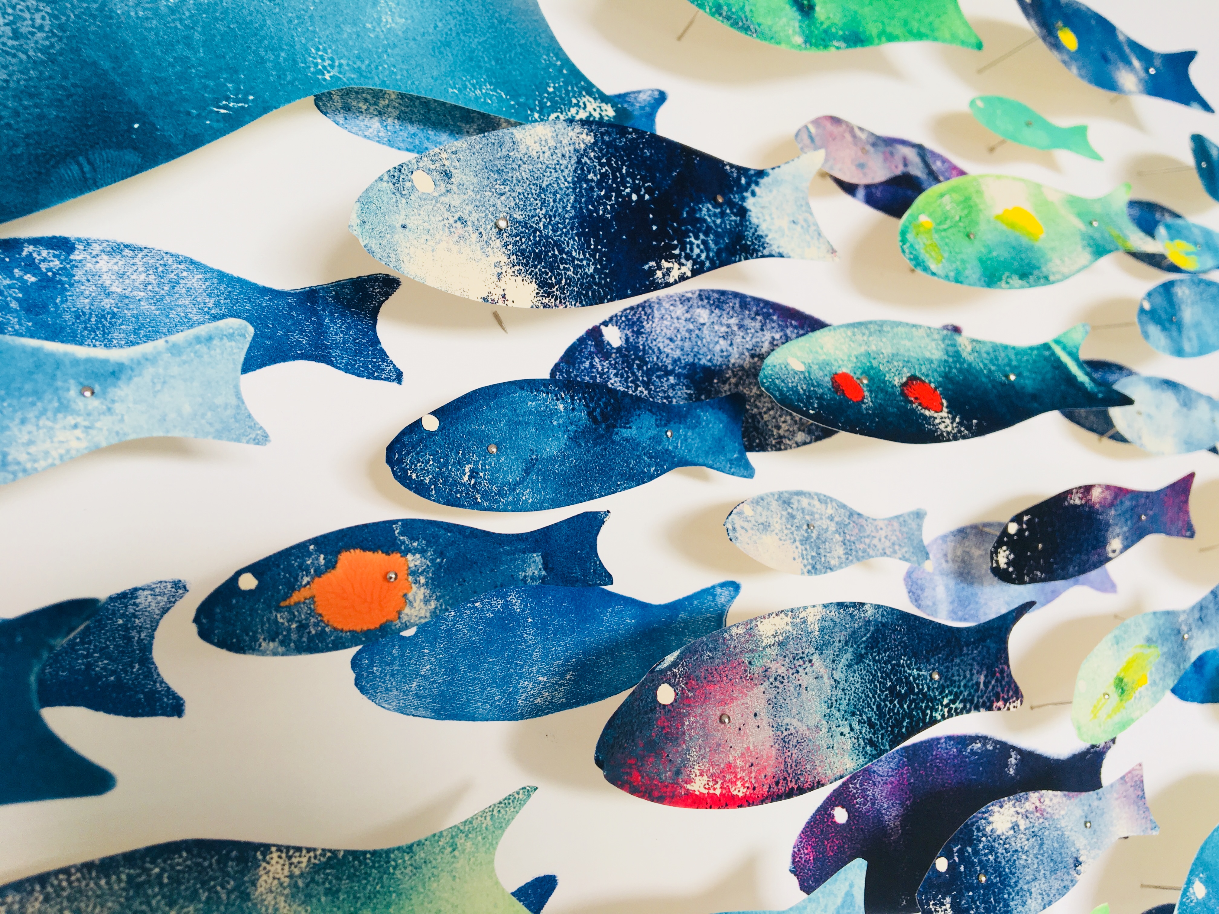 45494039981_ba12818437_o